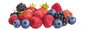 Berries-Best 10 healthy foods for a strong immune system