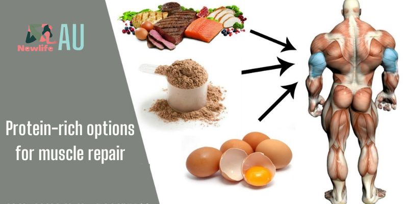 Protein-rich options for muscle repair