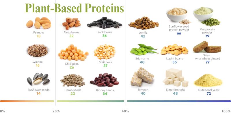 Micronutrientes em uma Dieta Vegetariana