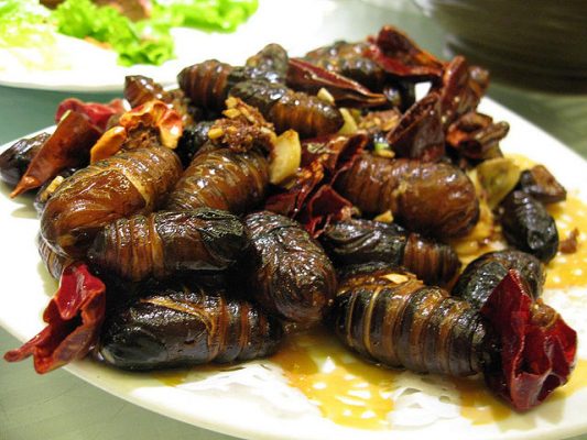 Silkworm Food 533x400 1